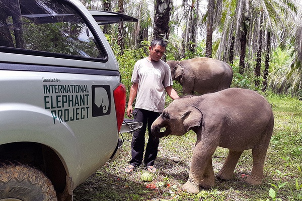 Sumatran Wildlife Ambulance