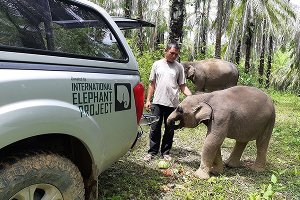 Wildlife Ambulance